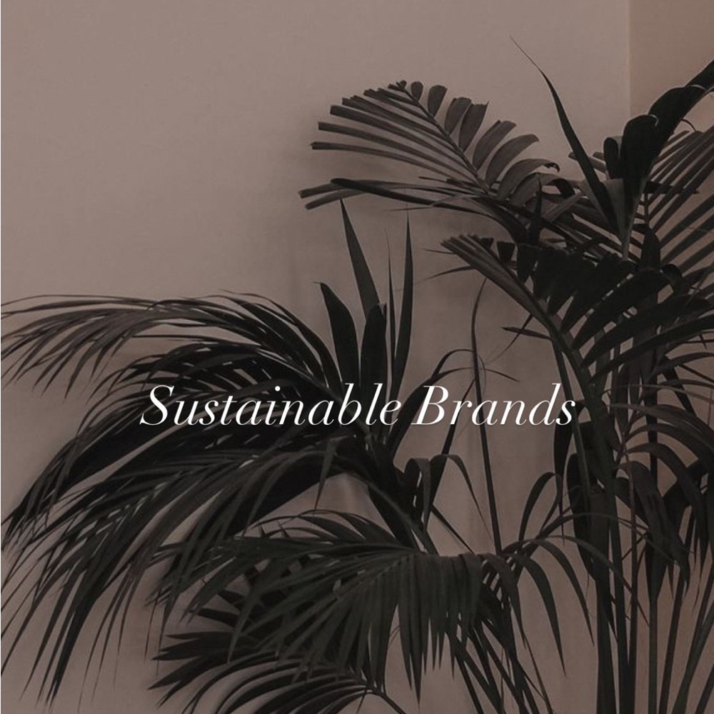 Sustainable brands (DO NOT BUY!!)